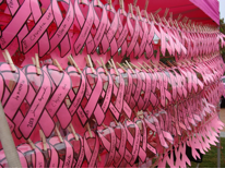 Ribbon Wall